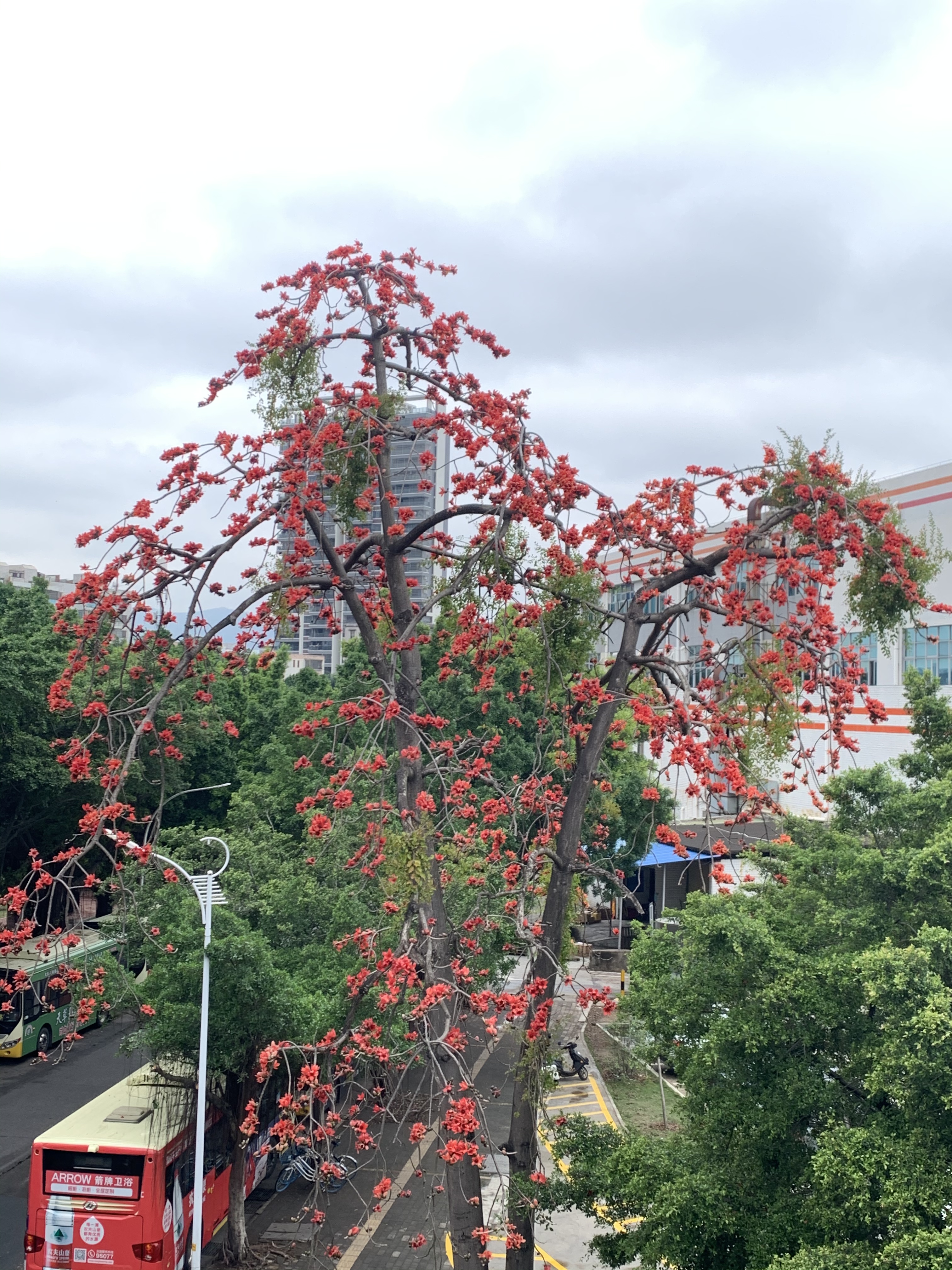 微信图片_20200305160526.jpg