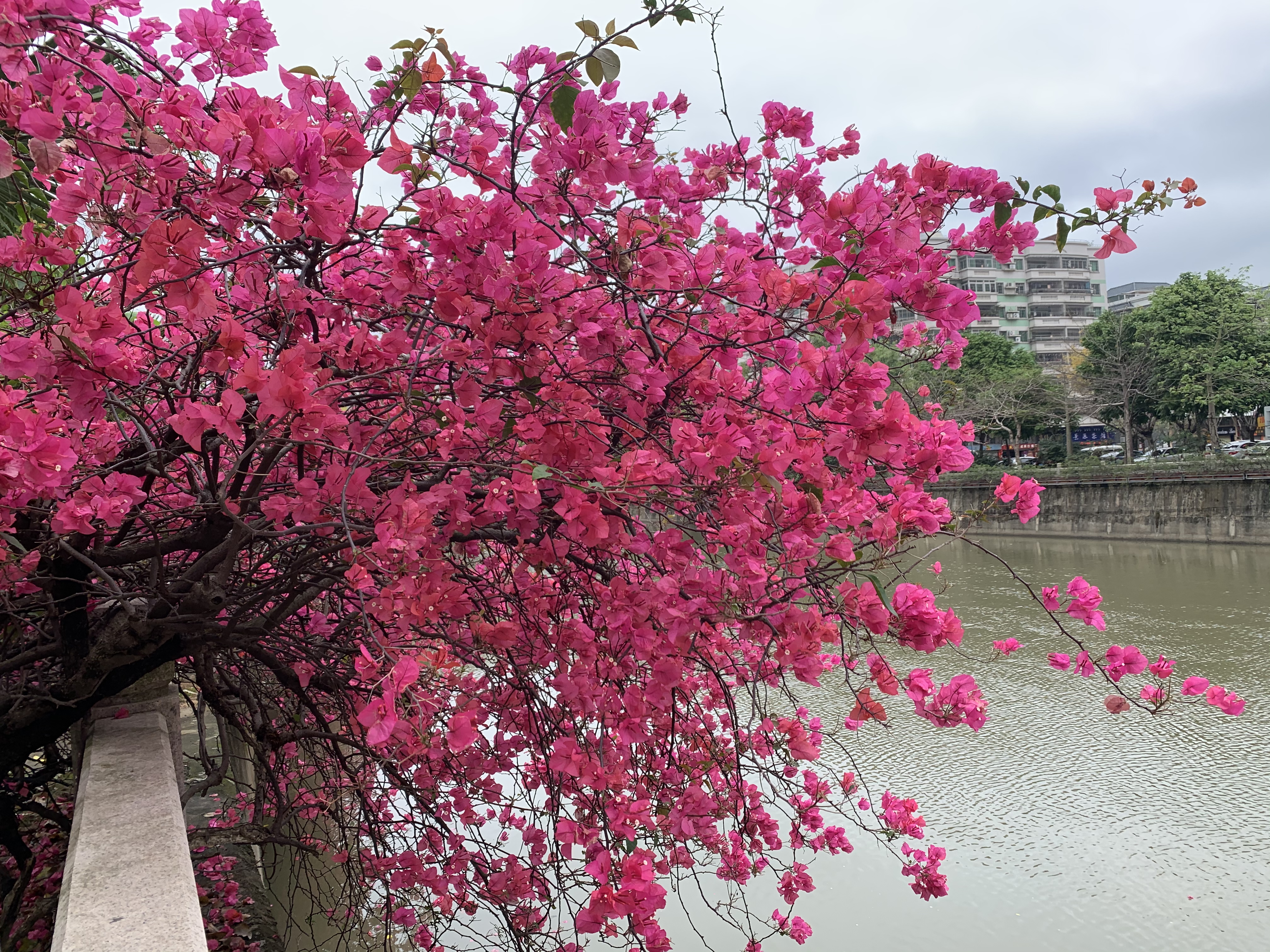 微信图片_20200305160243.jpg