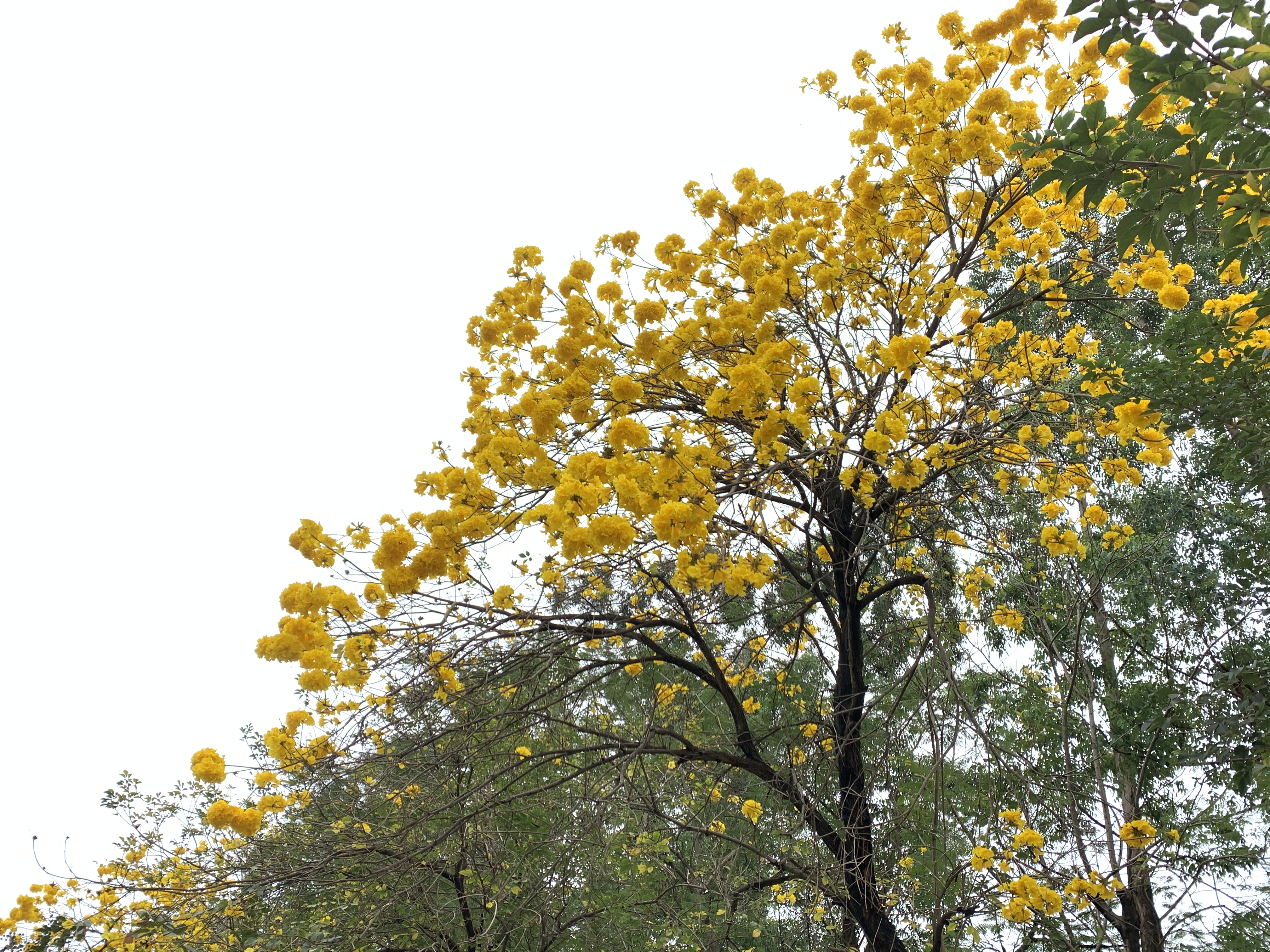 发展大道-5.jpg