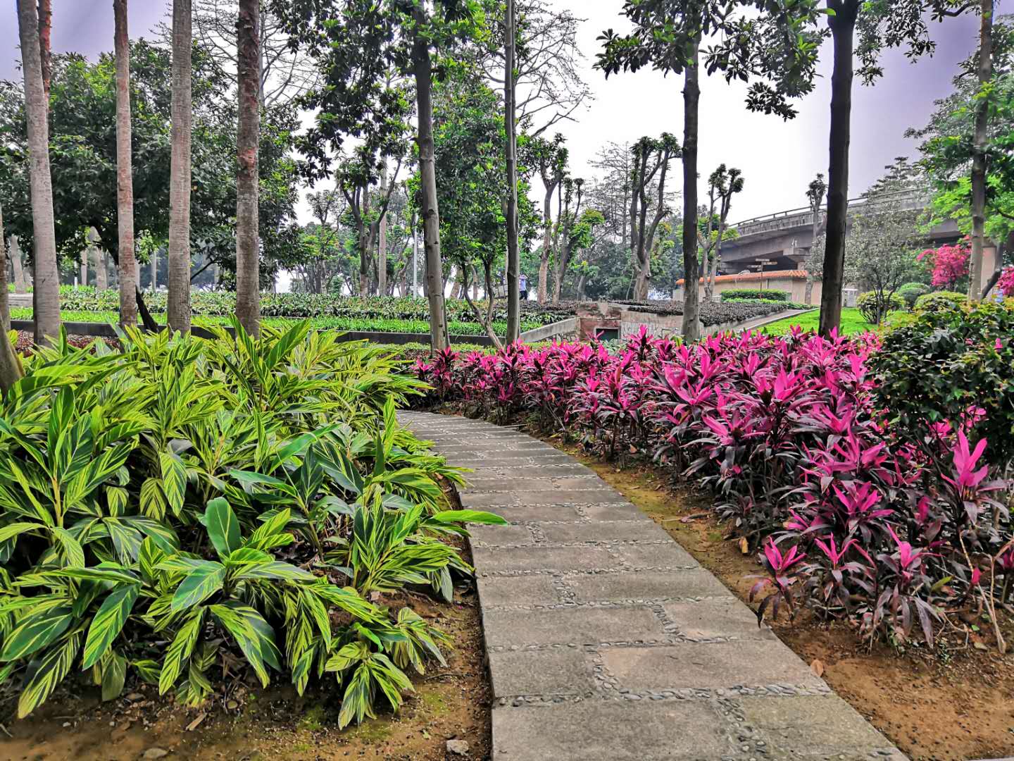 江滨公园2.jpg