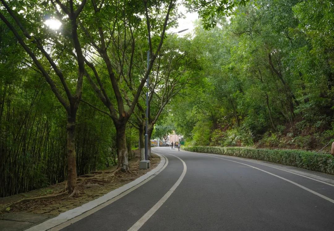微信图片_20200813180203.jpg