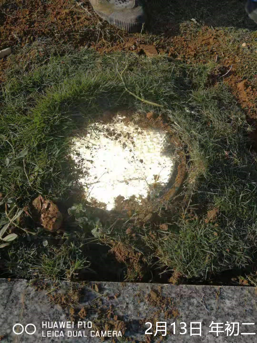 园山湖绿地照树灯不亮 后_副本.jpg