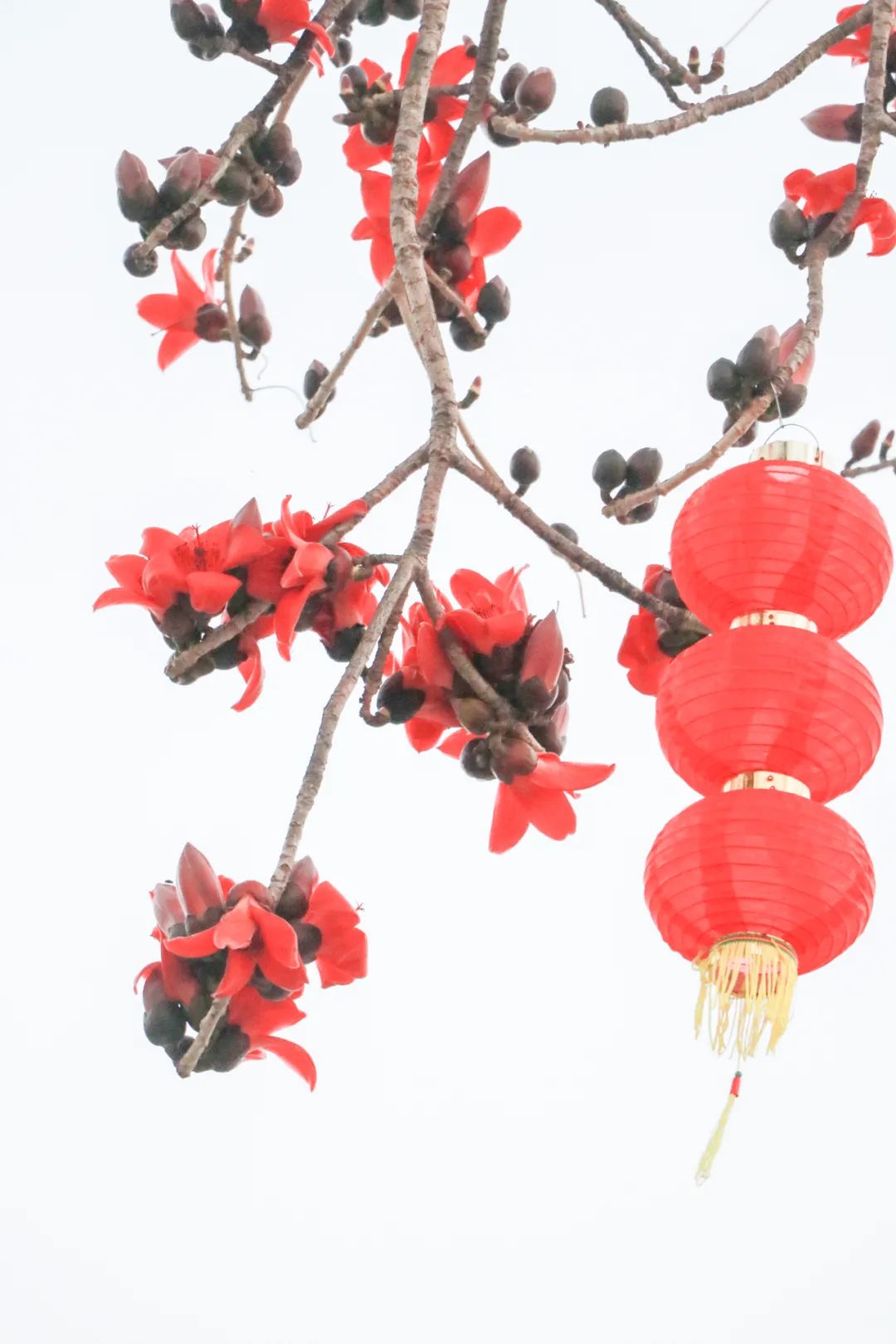 微信图片_20220317110700.jpg