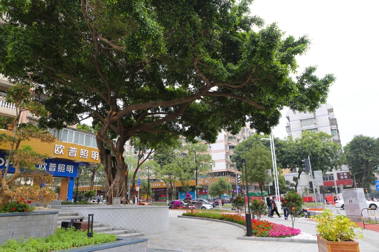 微信图片_20200120101718.jpg