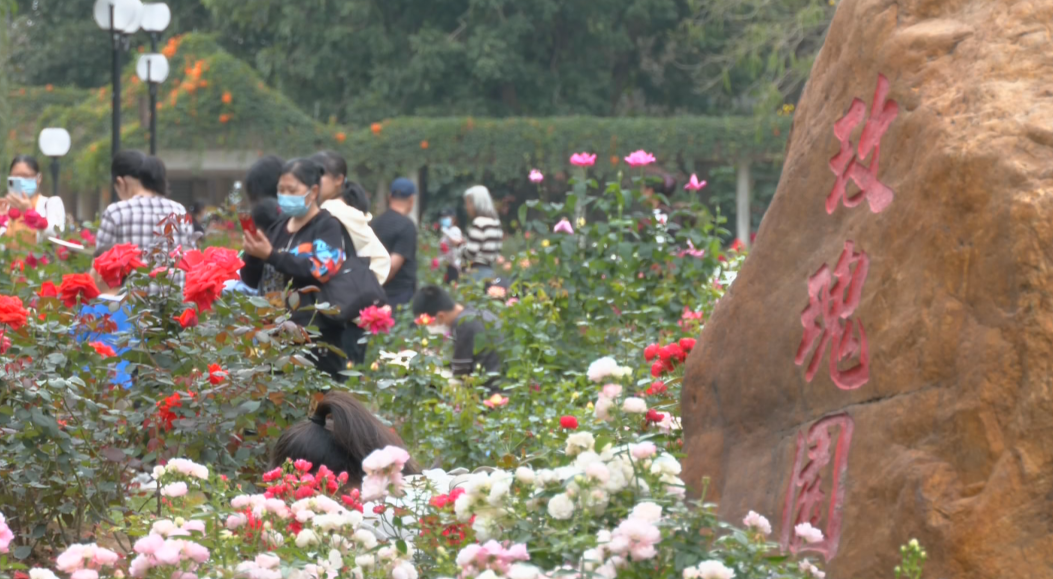 微信图片_20230323100441.png