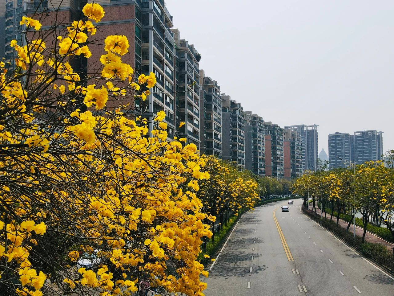 微信图片_20230323100656.jpg