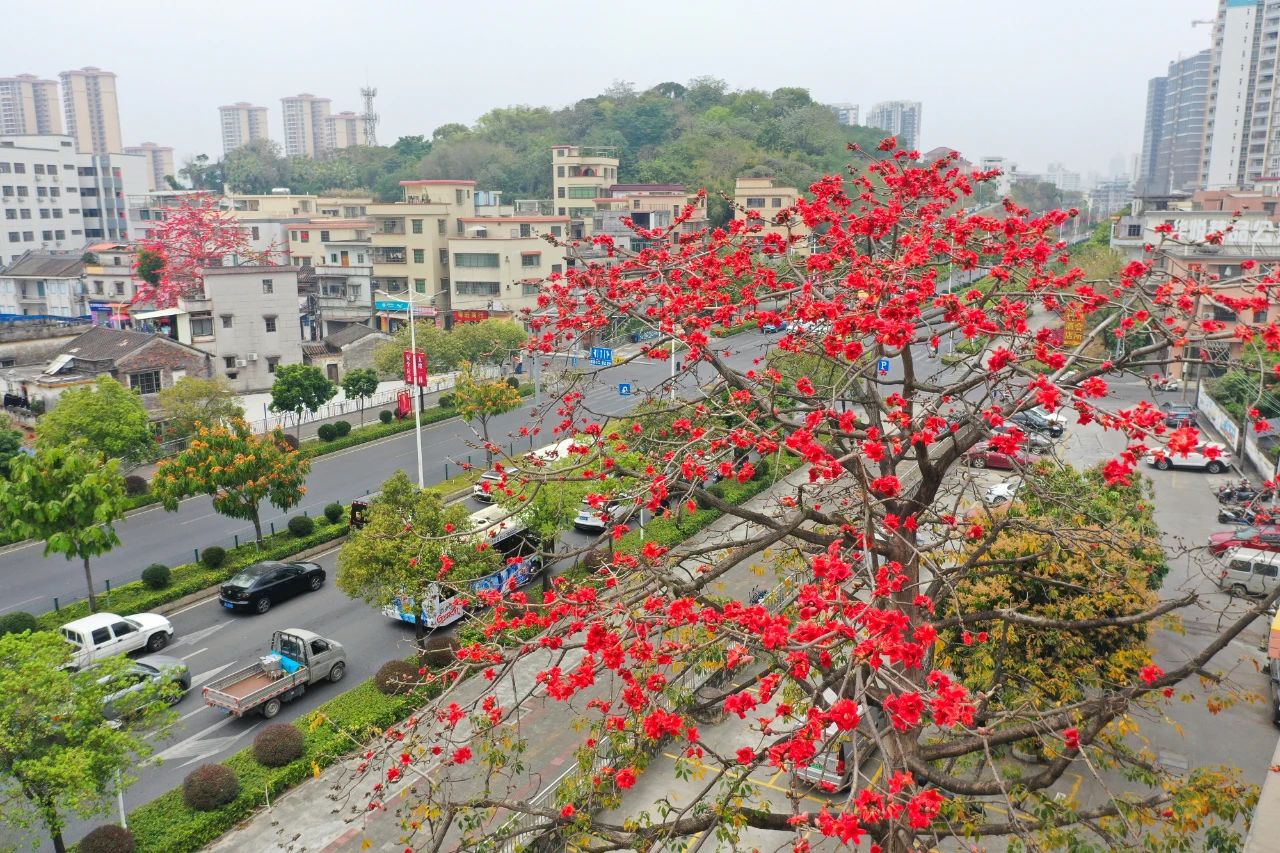 微信图片_20230323100701.jpg