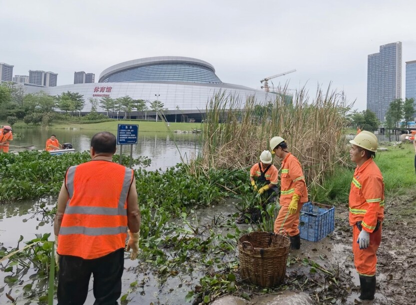 2023年5月创文动态信息1)_1