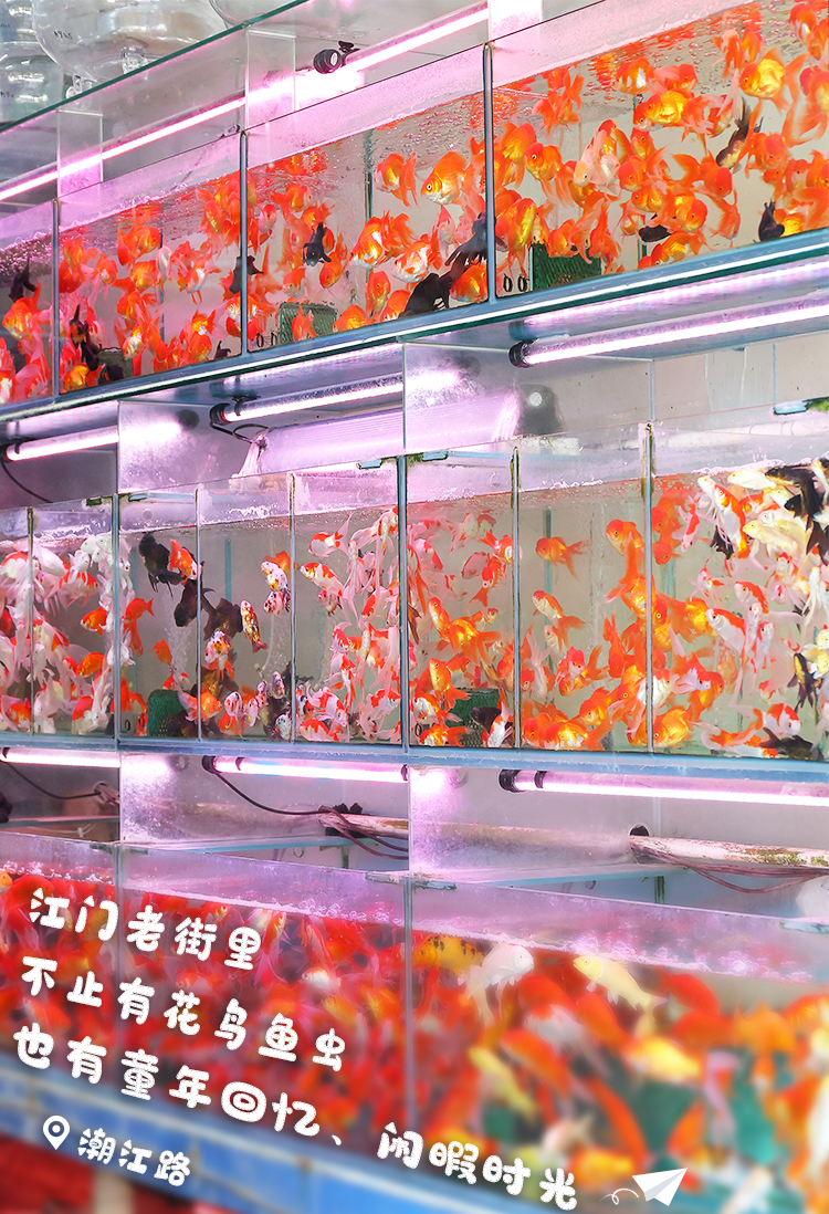 微信图片_20230810111046.png
