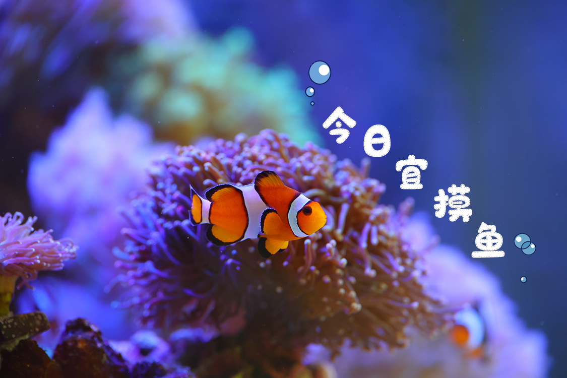 微信图片_20230810111123.png