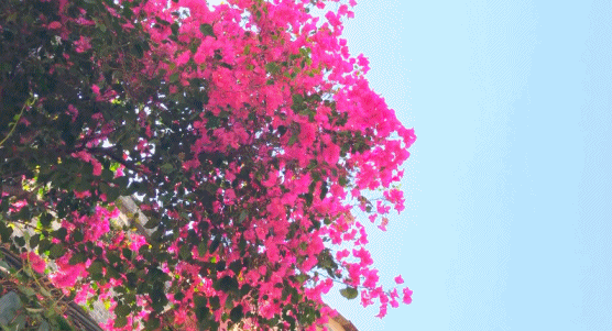 微信图片_20230831101112.gif