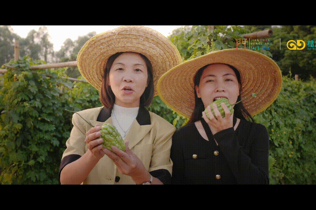 微信图片_20240104110525.gif