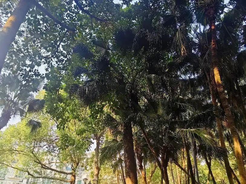 微信图片_20240118153101.jpg