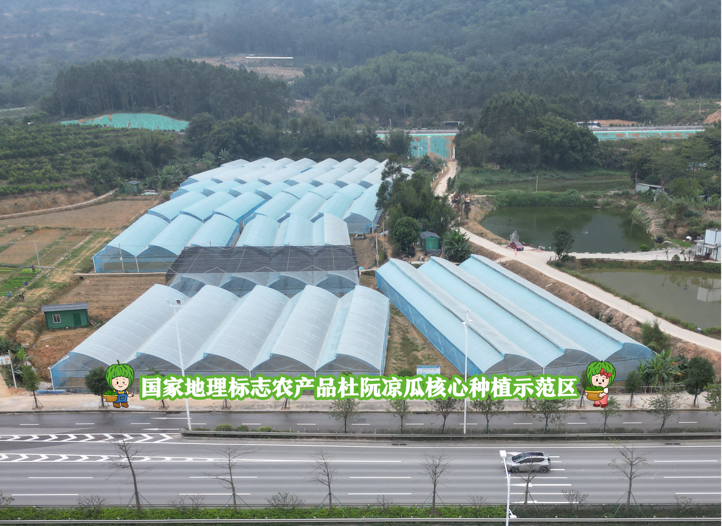 图片20.png