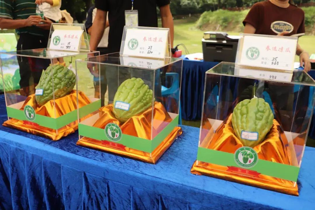 微信图片_20240530111629.jpg