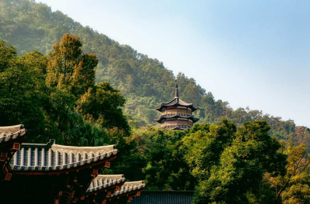 微信图片_20240613112206.png