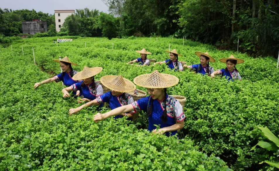 微信截图_20240620101956.png