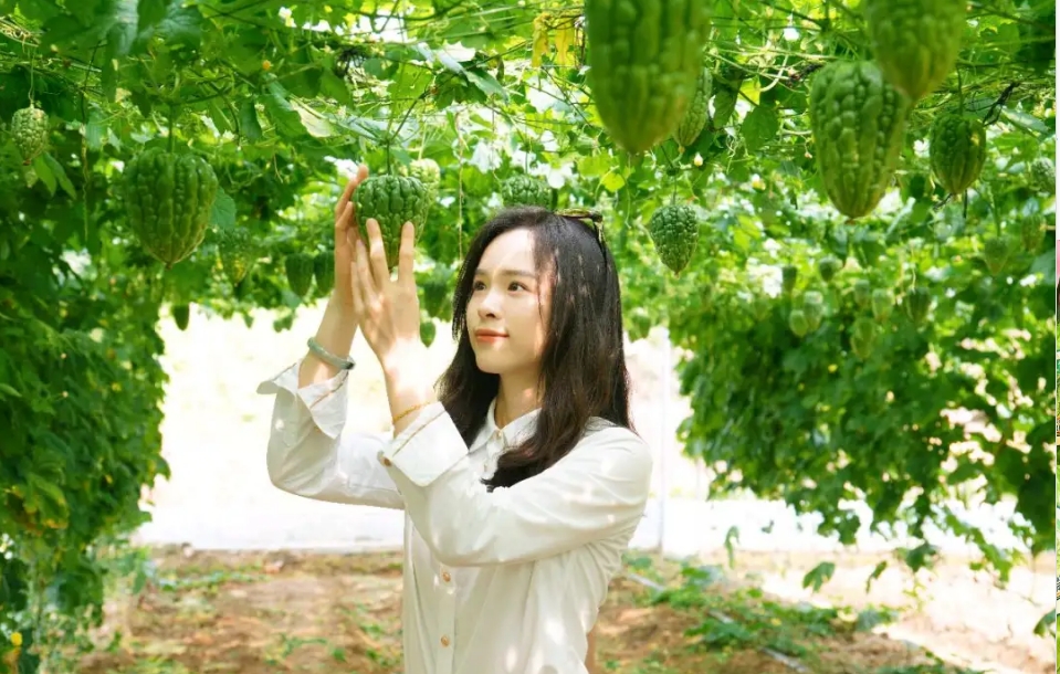 微信截图_20240620102100.png