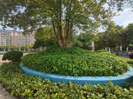 截图_选择区域_20240626100231.png