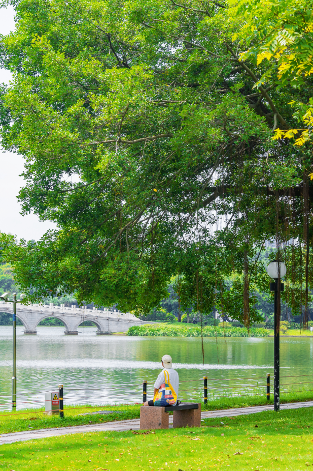 微信图片_20240807101104.png