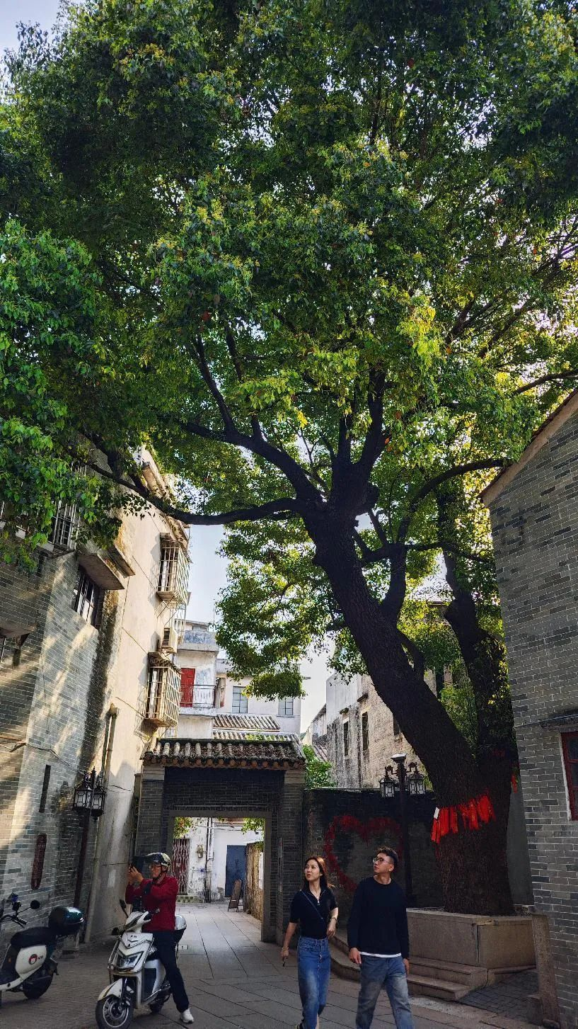 微信图片_20240807101122.png