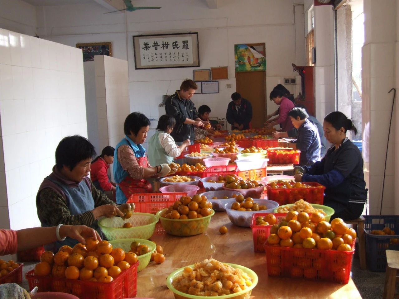 微信图片_20241017145631.jpg