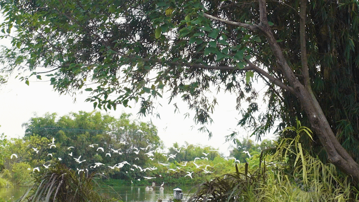 微信图片_20241114153636.gif