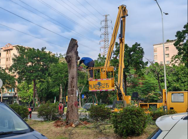 截图_选择区域_20250127091005.png