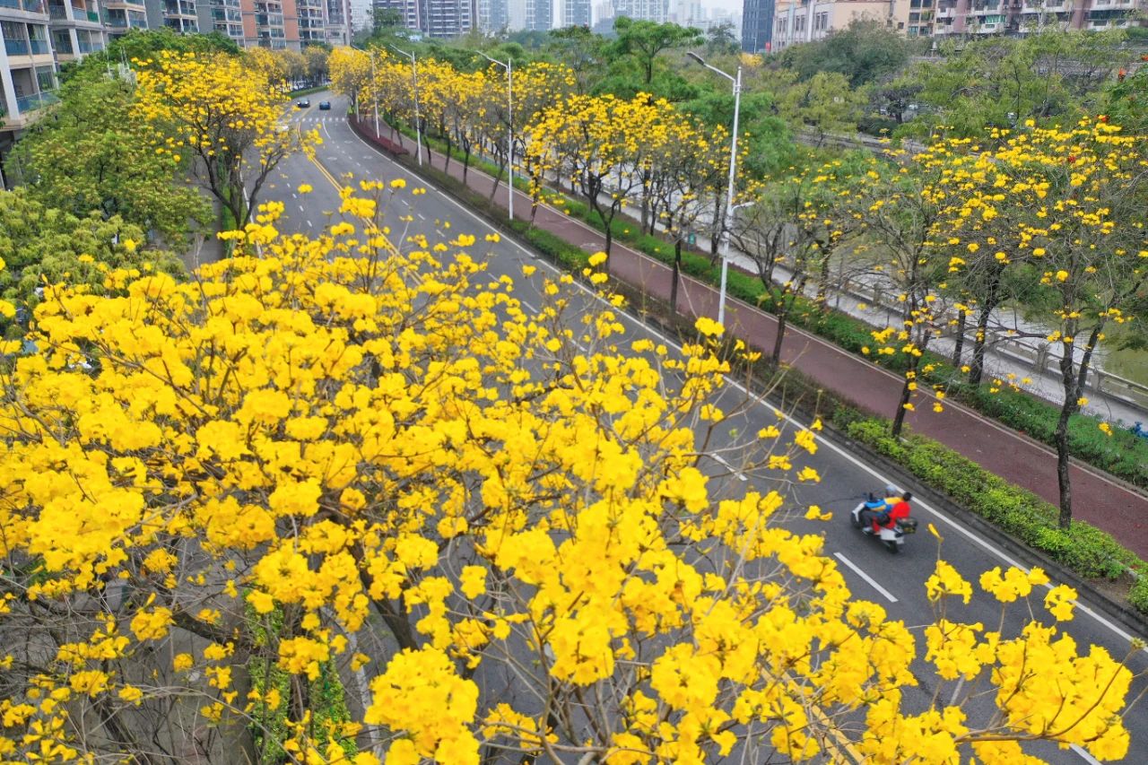 微信图片_20250313163344.jpg