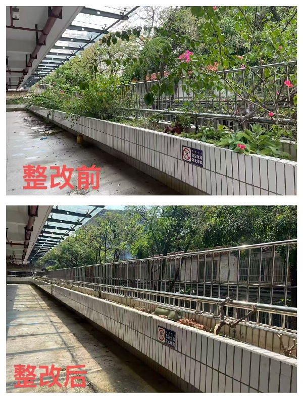 澳洲幸运10
幼儿园.jpeg
