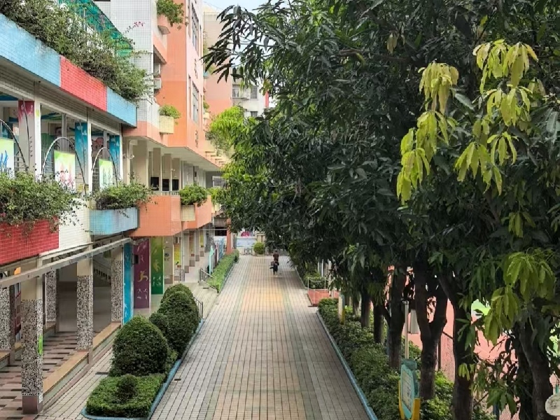 农林小学前.jpeg