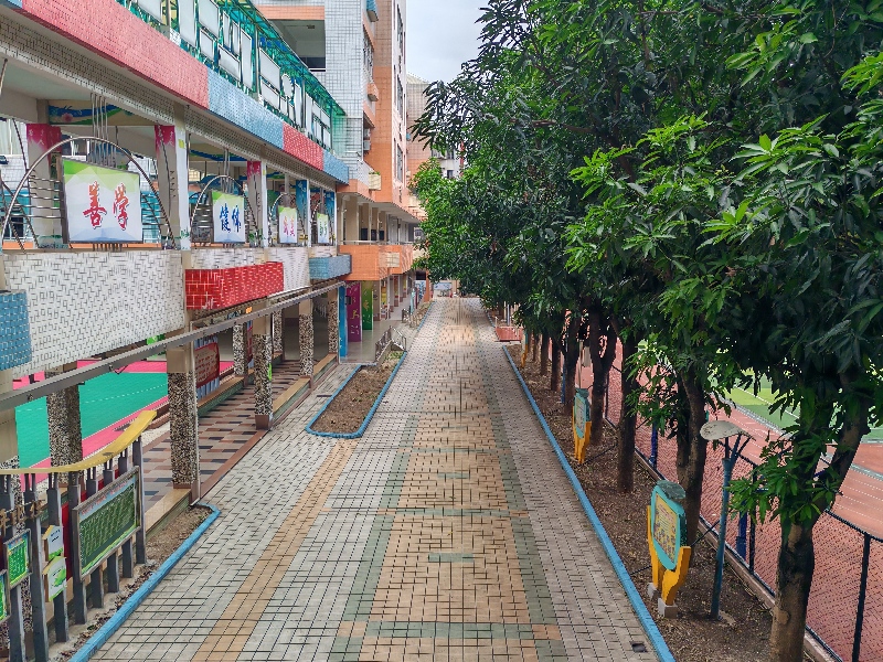 农林小学后.jpeg