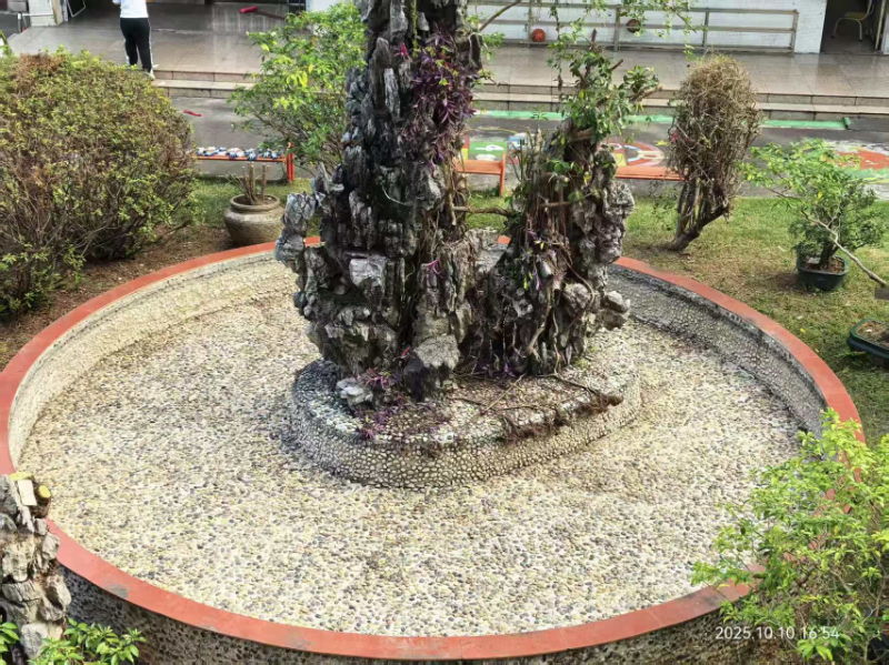 陈白沙小学2.jpeg