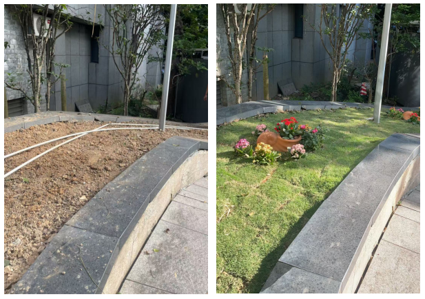 截图_选择区域_20260109125821.png