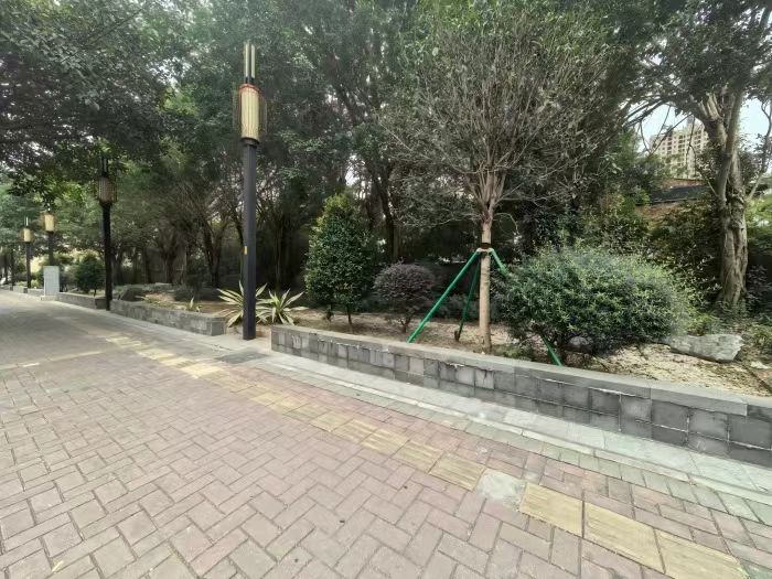 123.jpg
