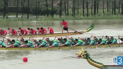 640 (2).gif